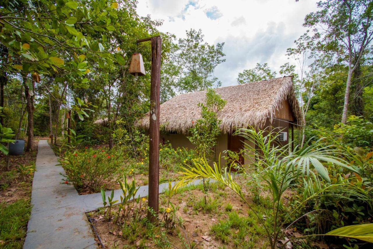 Amazon Turtle Lodge Careiro Экстерьер фото