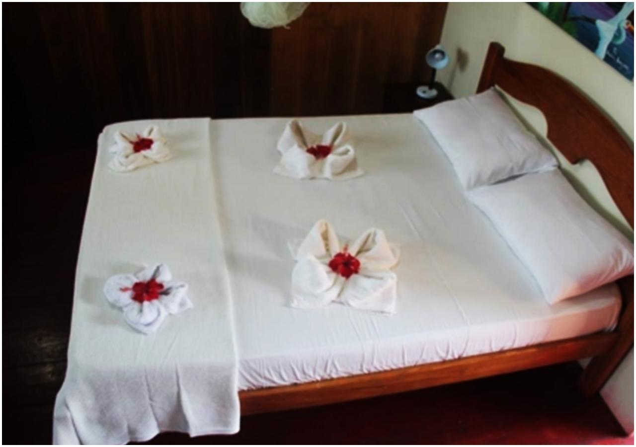 Amazon Turtle Lodge Careiro Экстерьер фото