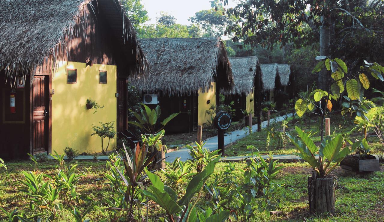 Amazon Turtle Lodge Careiro Экстерьер фото