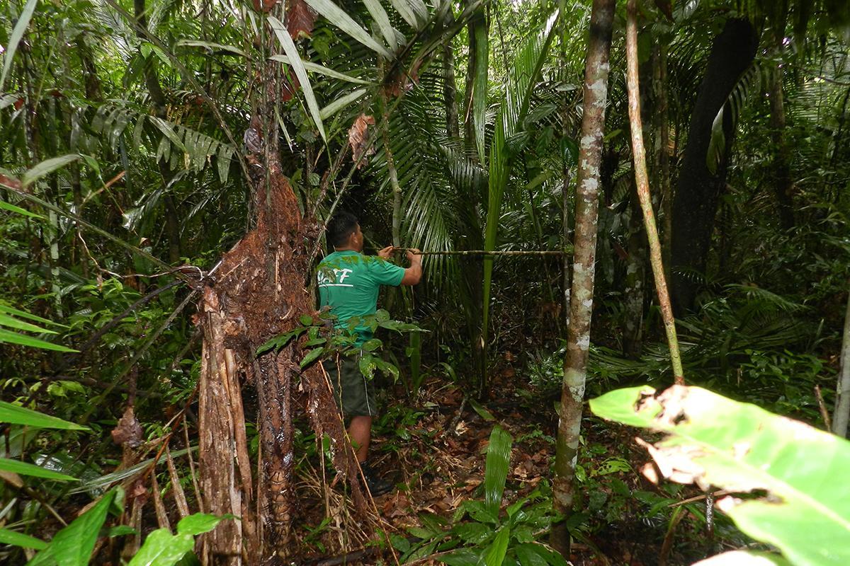 Amazon Turtle Lodge Careiro Экстерьер фото