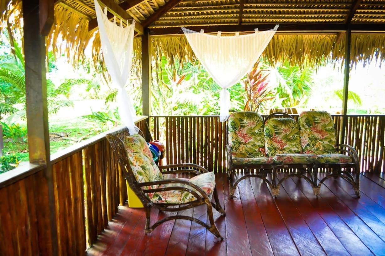 Amazon Turtle Lodge Careiro Экстерьер фото